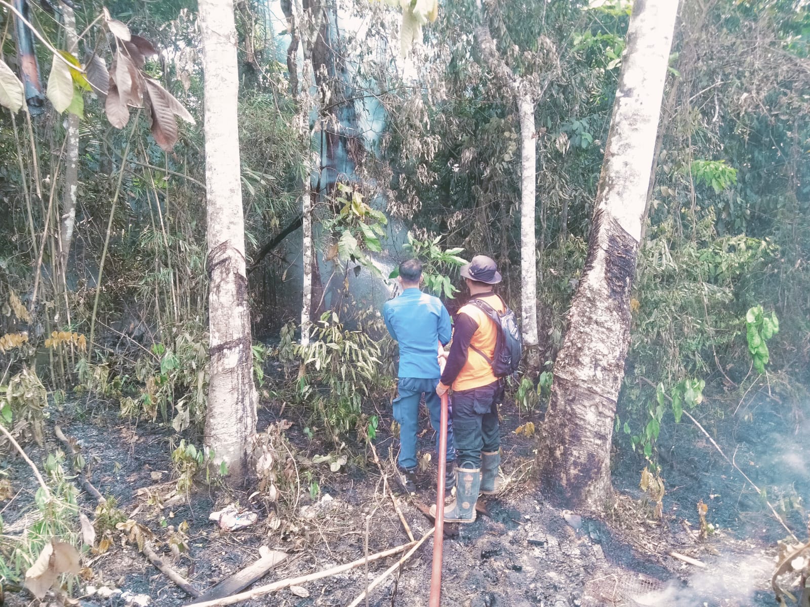 24 Unit Rumah Penampungan Kawasan Somel di Desa Saud Hangus Terbakar