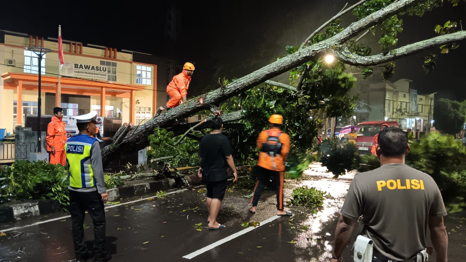 Gerak Cepat, BPBD Muba Evakuasi Pohon Tumbang di Sekayu