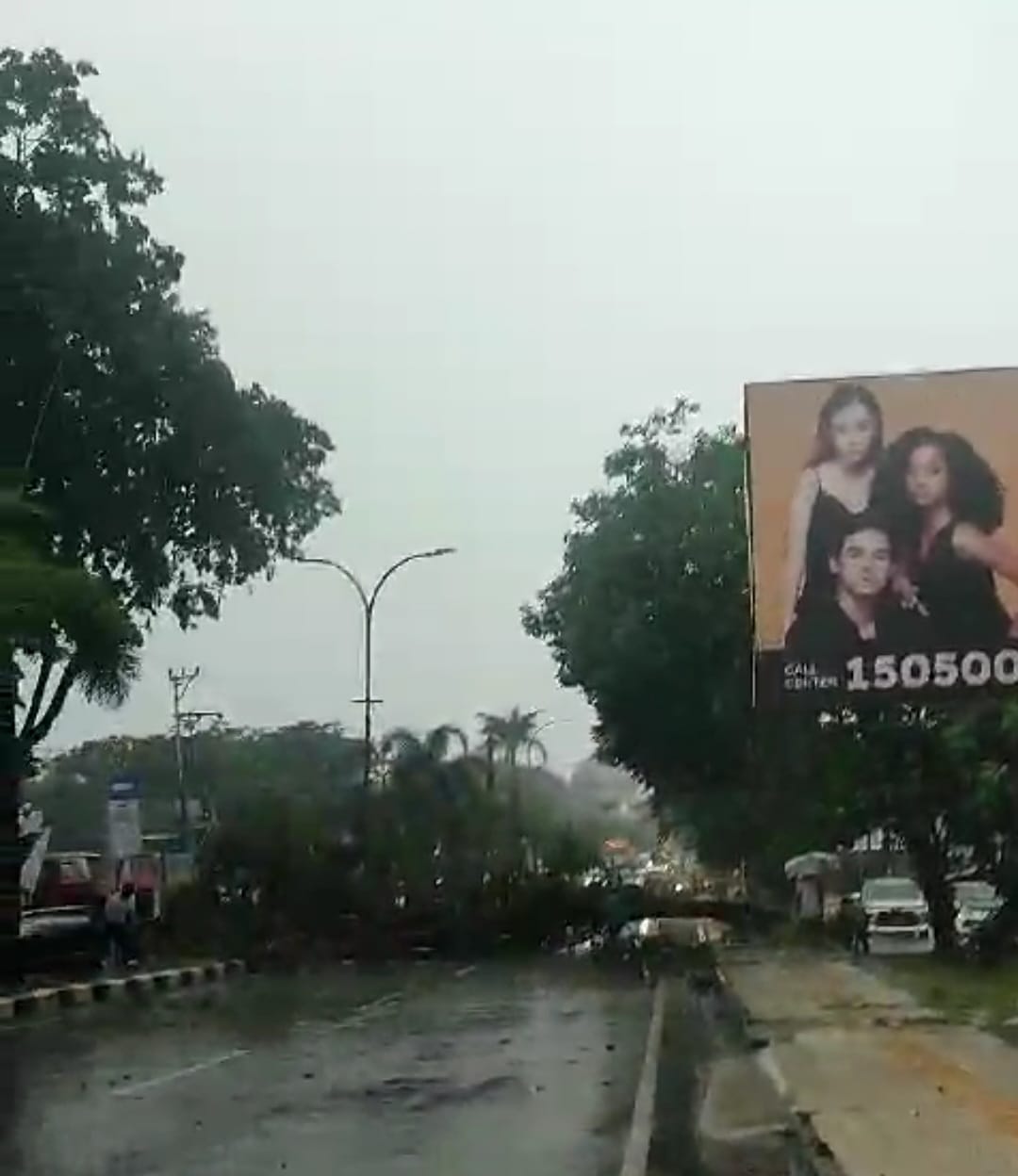 Tumbangkan Pohon Tua, Palembang Dilanda Hujan Disertai Angin Kencang