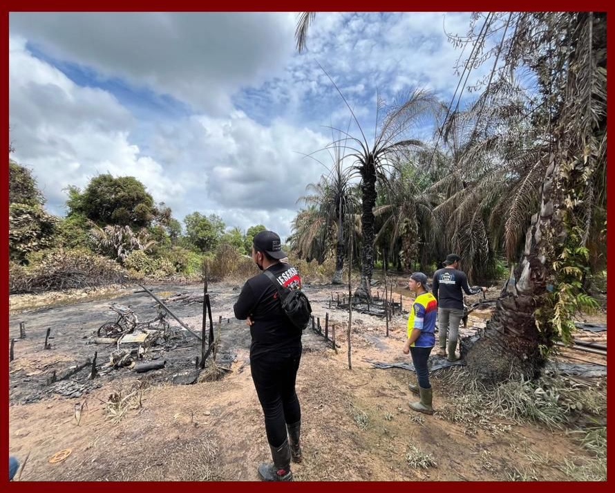 Sebabkan Kebakaran di Wilayah HGU PT Hindoli, Pemilik Sumur Ilegal Ditangkap