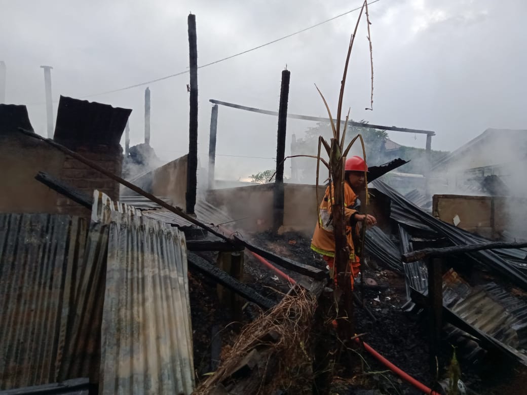 Kolaborasi Tim Damkar dan BPPD Muba Berhasil Jinakkan Sijago Merag di Desa Epil