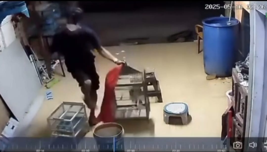 Aksi Pencurian Burung di Palembang Terekam CCTV