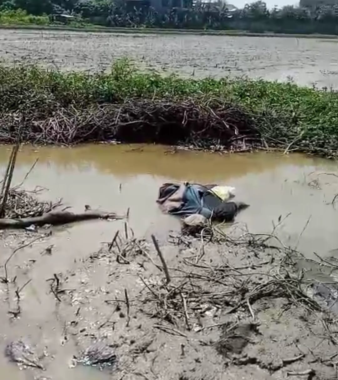 Diduga Terkena Setrum, Pria Pencari Belut di Palembang Ditemukan Tewas