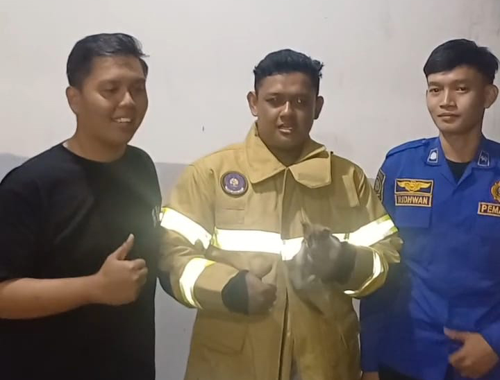 Dramatis, Petugas Damkar Pos Alang-Alang Lebar Palembang Evakuasi Anak Kucing Terjebak Bawah Kolong Mesin Motor