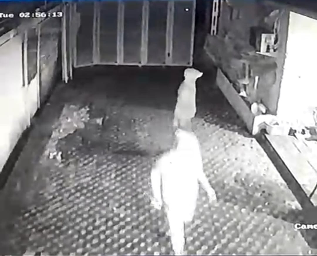 Gasak 2 Motor di Kedai Kopi, Aksi Kawanan Curanmor di Palembang Terekam CCTV