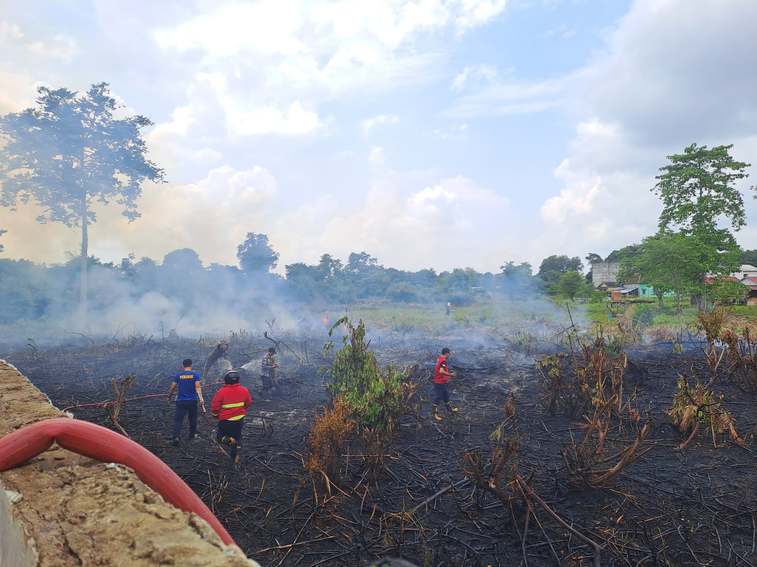 Sigap dan Tangguh, Tim Damkar Muba Jinakkan Karhutbunlah di Belakang Komplek Kejaksaan Sekayu