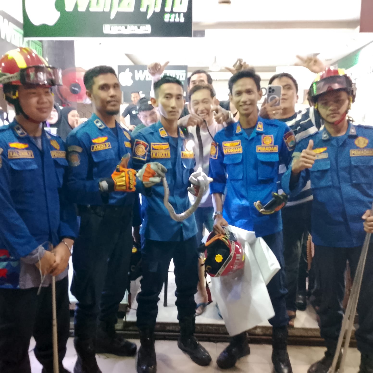 Tim Rescue Damkar Palembang Evakuasi Ular Piton di Konter Handphone