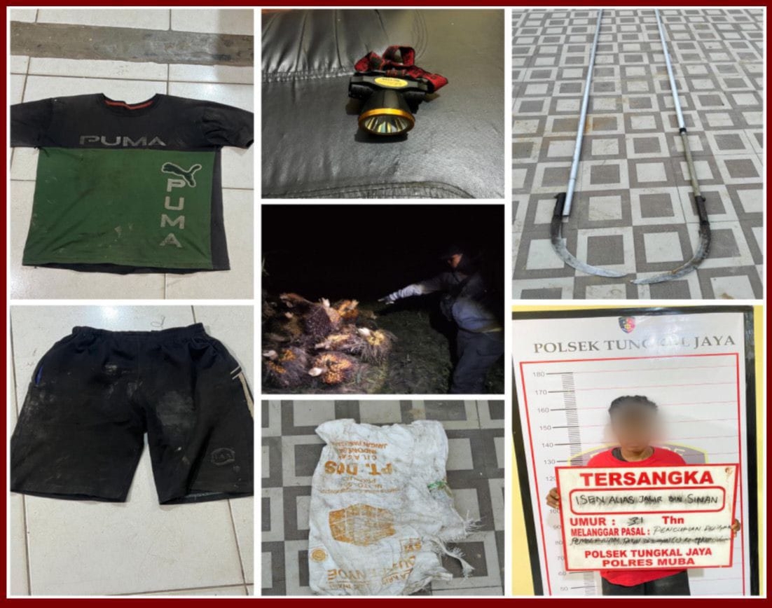 Curi TBS di Area Perkebunan PT BSS, Satu dari Tiga Pelaku Ditangkap Polisi