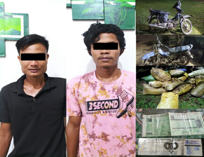 Dua Pencuri Sawit di Lalan Ditangkap Polisi, Satu Pelaku Masih Buron