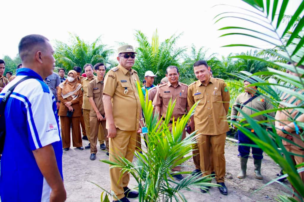 Bupati HM Toha Tinjau Kebun Pembibitan Berkualitas, Dongkrak Kesejahteraan Petani