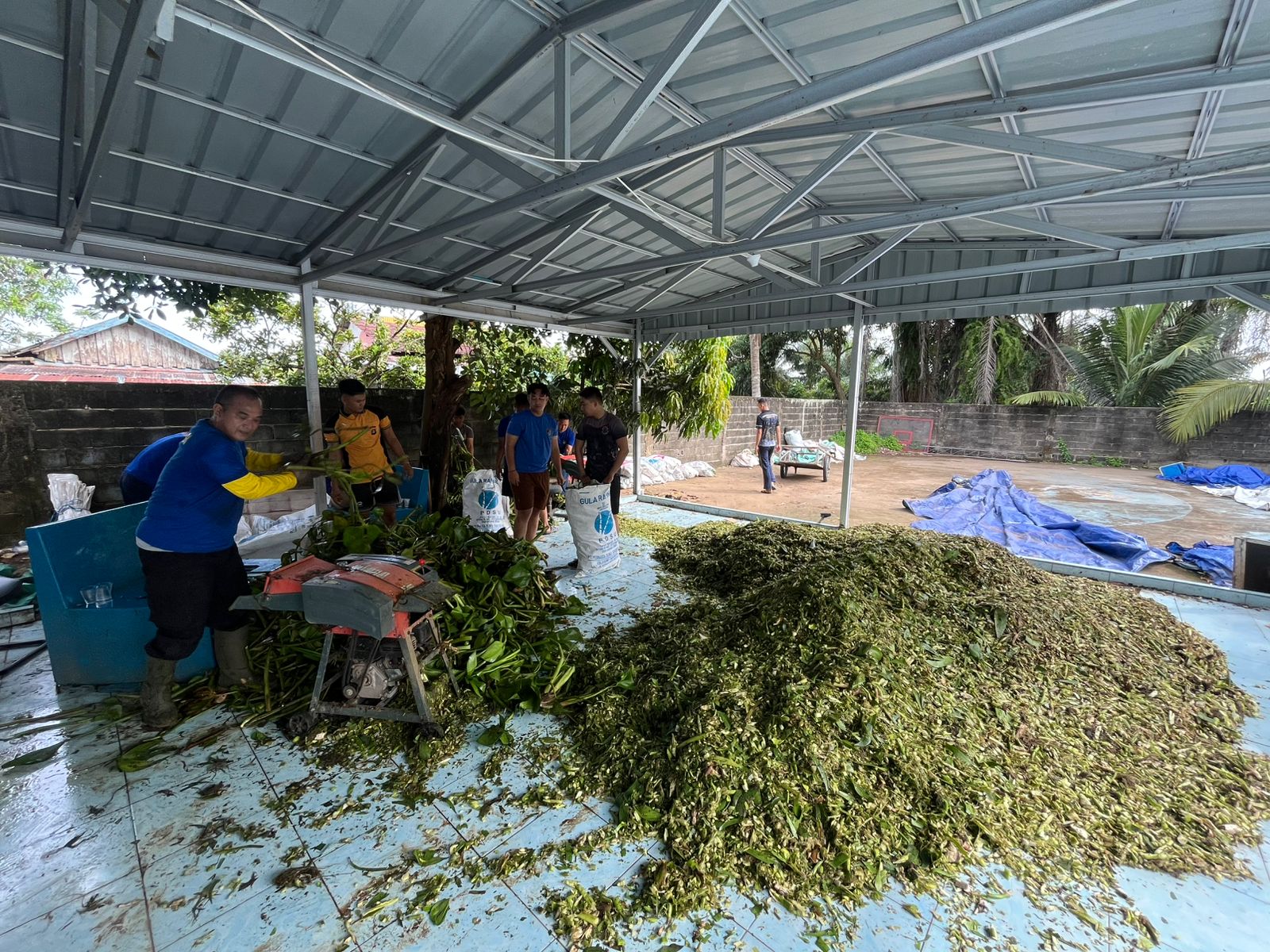 Pupuk Organik Eceng Gondok Inovasi Ditpolairud Polda Sumsel Sudah Berhasil Diuji Coba