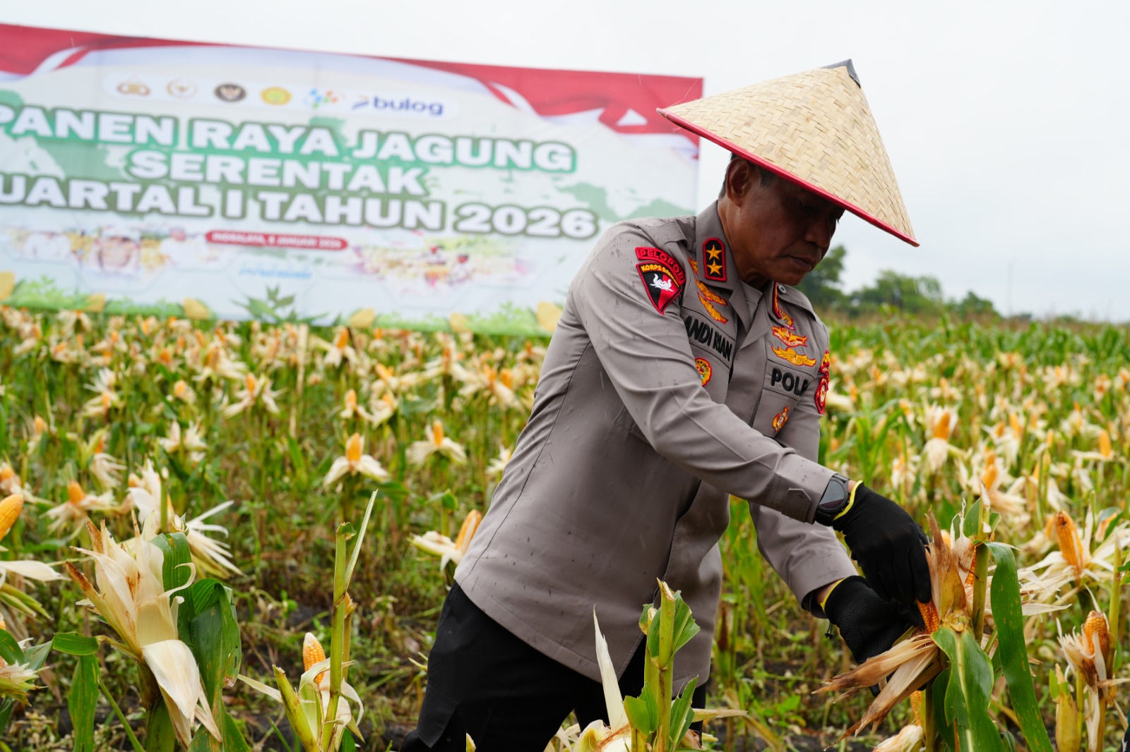 Kapolda Sumsel Panen Raya Jagung Kuartal IV 2025 di Ogan Ilir