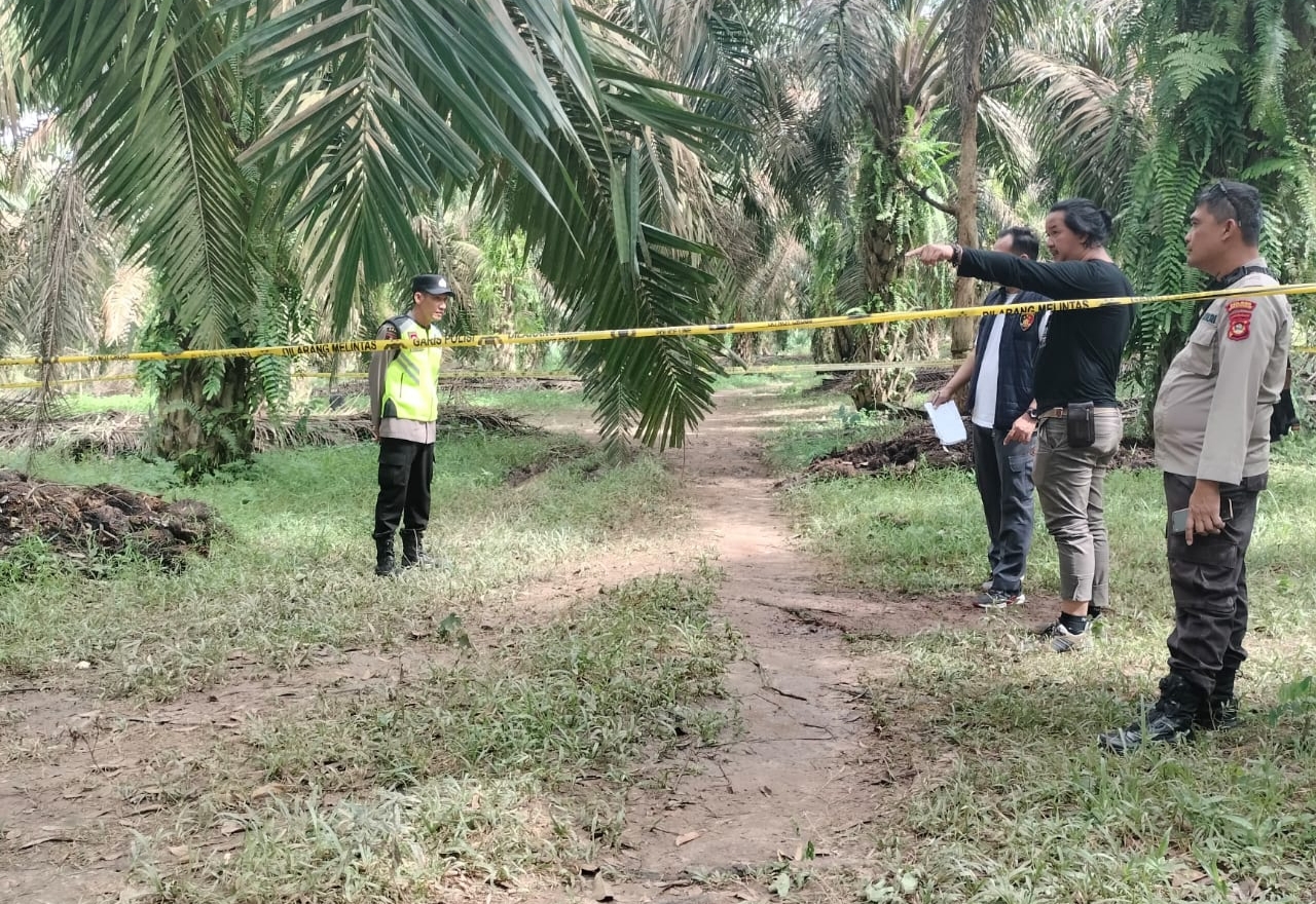 Pemuda Ditemukan Tewas Bersimbah Darah di Kebun Sawit Teluk Kijing II, Polisi Selidiki Dugaan Pembunuhan