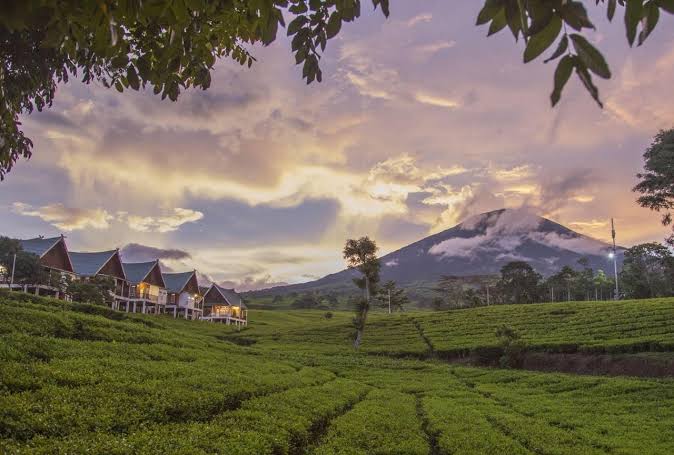 Terkendala Regulasi dan Izin, Sejumlah Destinasi Wisata Gunung Dempo Ditutup Sementara