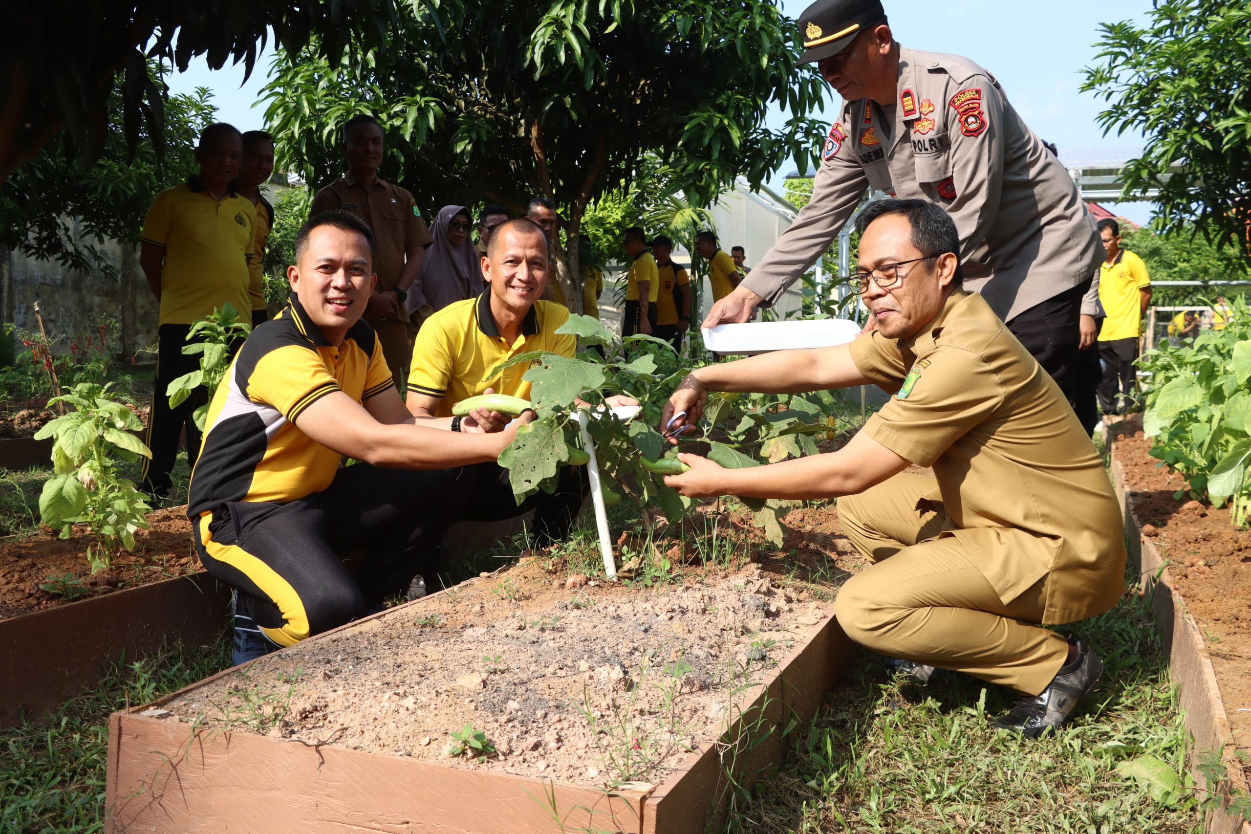 Polres Muba Wujudkan Lahan Produktif untuk Sukseskan Program Makan Bergizi Gratis