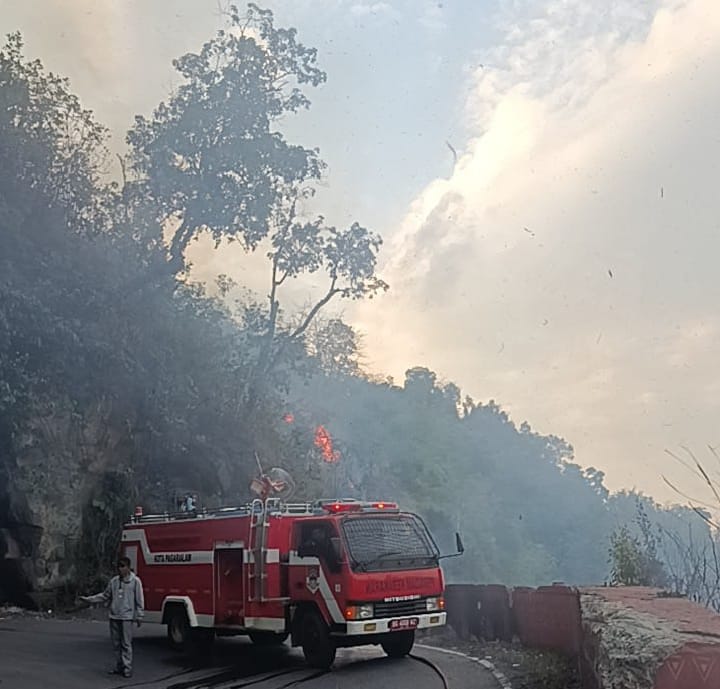 Musim Kemarau Picu Karhutla di Liku Endikat Pagar Alam, Api Nyaris Merambat ke Kebun Warga