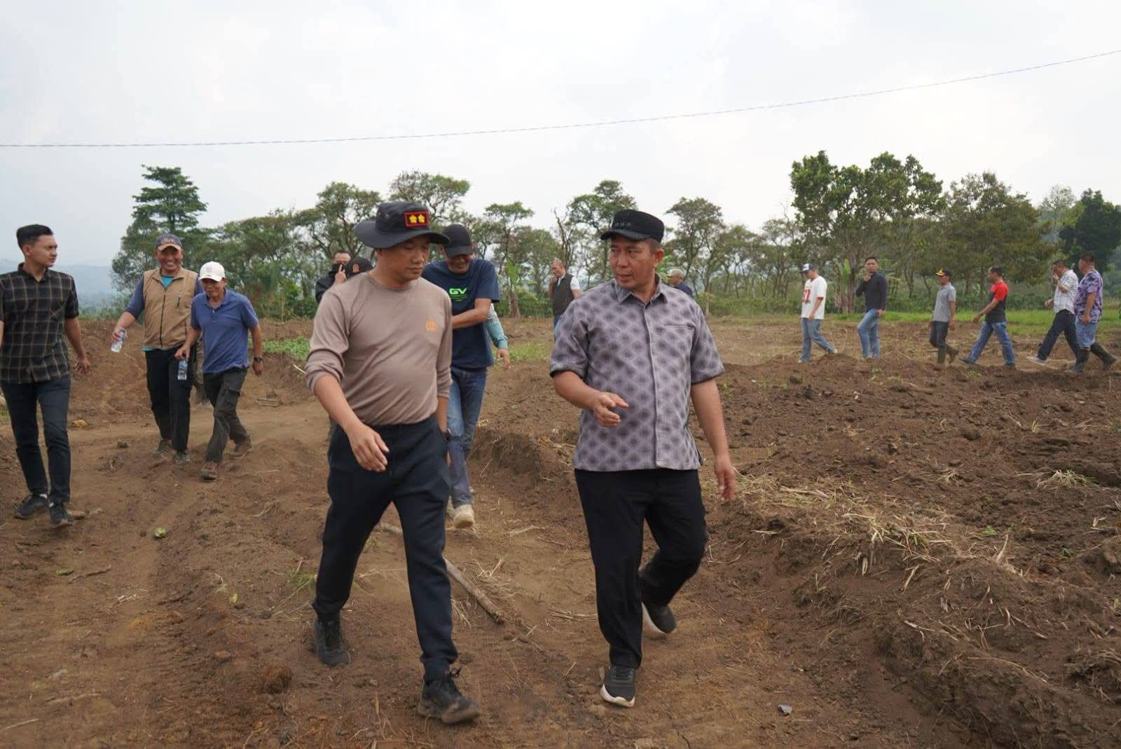 Potensi Dataran Tinggi Jadi Andalan, Pagar Alam Mulai Kembangkan Bawang Putih