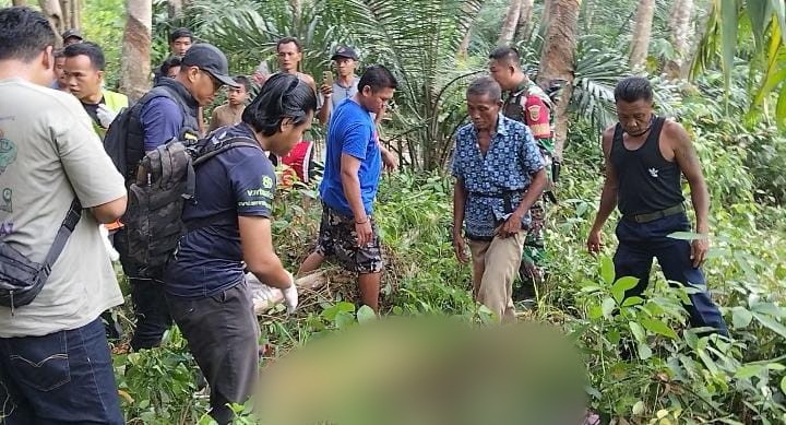 Duel Berdarah di Kebun Sawit Muba, Pemuda 21 Tahun Tewas Dibacok